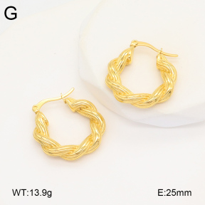 2E2005884bbov-686  Stainless Steel Earrings