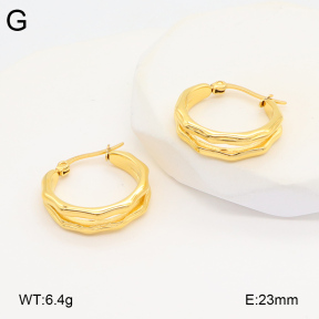 2E2005885vbnb-686  Stainless Steel Earrings