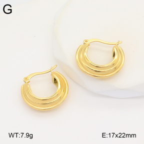 2E2005886bbov-686  Stainless Steel Earrings