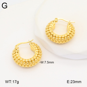 2E2005887bbov-686  Stainless Steel Earrings