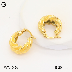2E2005888bbov-686  Stainless Steel Earrings