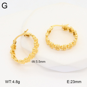 2E2005889vbnb-686  Stainless Steel Earrings