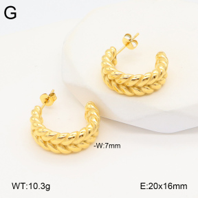 2E2005890bbov-686  Stainless Steel Earrings