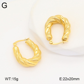 2E2005891bbov-686  Stainless Steel Earrings
