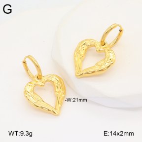 2E2005894vbnb-686  Stainless Steel Earrings
