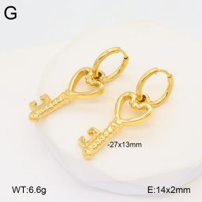 2E2005895vbnb-686  Stainless Steel Earrings