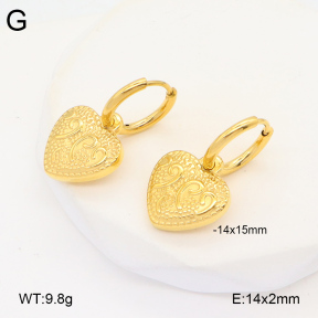 2E2005896vbmb-686  Stainless Steel Earrings