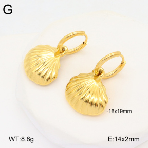 2E2005898bbov-686  Stainless Steel Earrings
