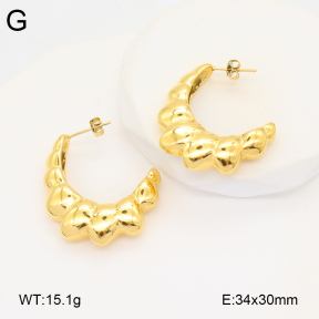 2E2005899bbov-686  Stainless Steel Earrings