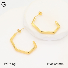 2E2005900vbnb-686  Stainless Steel Earrings