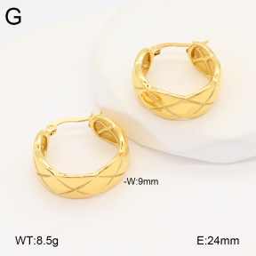 2E2005901bbov-686  Stainless Steel Earrings