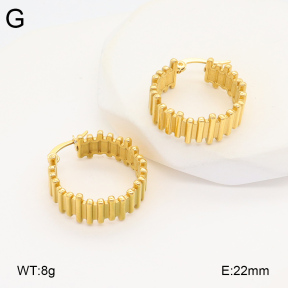 2E2005902vbnb-686  Stainless Steel Earrings