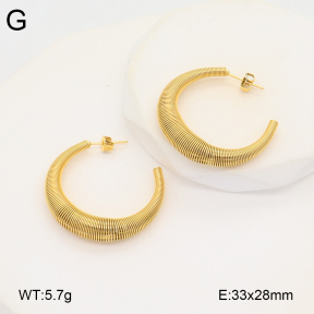2E2005904vbnb-686  Stainless Steel Earrings