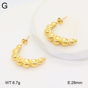 2E2005905bbov-686  Stainless Steel Earrings