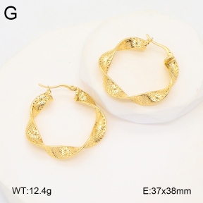 2E2005906bbov-686  Stainless Steel Earrings