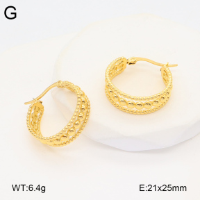 2E2005907vbnb-686  Stainless Steel Earrings