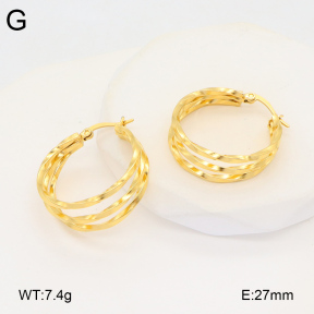 2E2005908bbov-686  Stainless Steel Earrings
