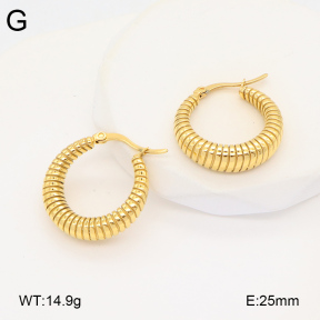 2E2005909bbov-686  Stainless Steel Earrings