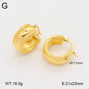 2E2005910bbov-686  Stainless Steel Earrings