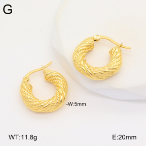 2E2005911bbov-686  Stainless Steel Earrings