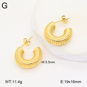 2E2005912bbov-686  Stainless Steel Earrings
