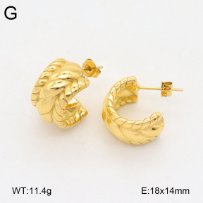 2E2005913vbnb-686  Stainless Steel Earrings