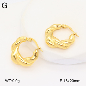 2E2005914vbnb-686  Stainless Steel Earrings