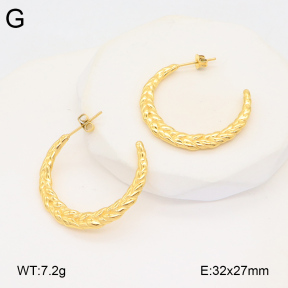 2E2005915bbov-686  Stainless Steel Earrings