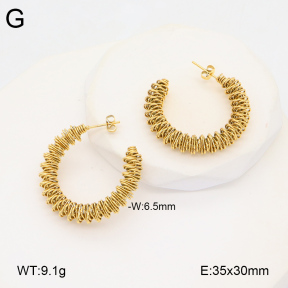 2E2005917vbnb-686  Stainless Steel Earrings