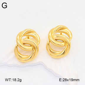 2E2005918bbov-686  Stainless Steel Earrings