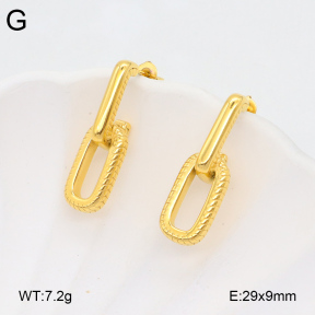 2E2005919bbov-686  Stainless Steel Earrings