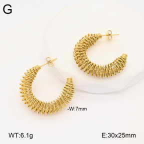 2E2005920vbnb-686  Stainless Steel Earrings
