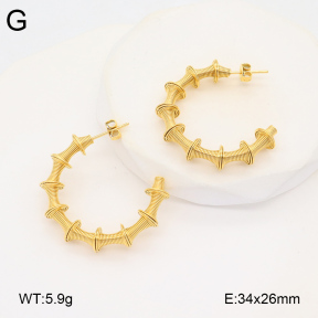 2E2005921vbnb-686  Stainless Steel Earrings