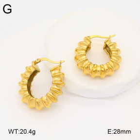 2E2005922bbov-686  Stainless Steel Earrings