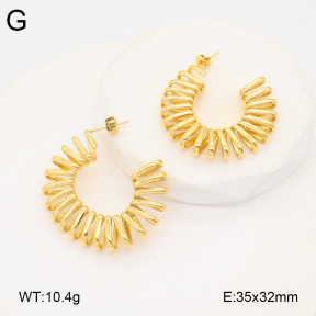 2E2005923vbnb-686  Stainless Steel Earrings