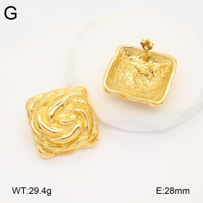 2E2005924bbov-686  Stainless Steel Earrings
