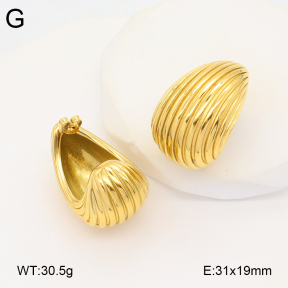 2E2005925bbov-686  Stainless Steel Earrings