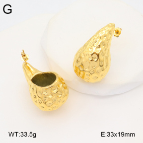 2E2005926bbov-686  Stainless Steel Earrings