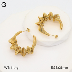 2E2005927vbnb-686  Stainless Steel Earrings