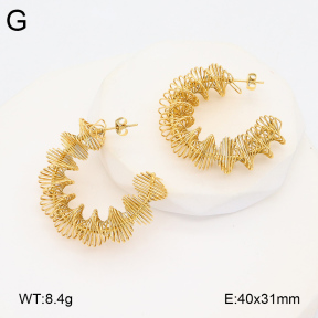 2E2005928vbnb-686  Stainless Steel Earrings