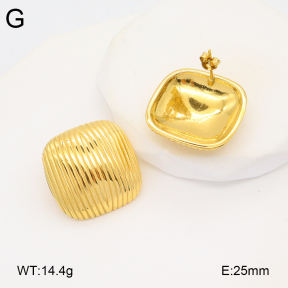 2E2005929bbov-686  Stainless Steel Earrings