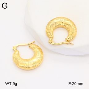 2E2005931vbmb-686  Stainless Steel Earrings