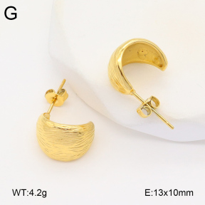 2E2005932vbmb-686  Stainless Steel Earrings