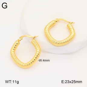 2E2005933bbov-686  Stainless Steel Earrings
