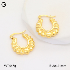 2E2005934vbmb-686  Stainless Steel Earrings