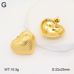 2E2005936bbov-686  Stainless Steel Earrings