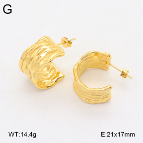 2E2005937bbov-686  Stainless Steel Earrings