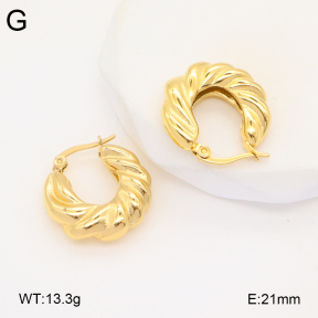 2E2005938bbov-686  Stainless Steel Earrings