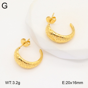2E2005939vbnb-686  Stainless Steel Earrings