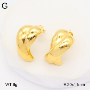 2E2005941vbnb-686  Stainless Steel Earrings